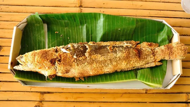 Dapatkah Ikan Gabus Mengatasi Diabetes?