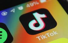 Cara Download Video TikTok tanpa Watermark dan Berkualitas