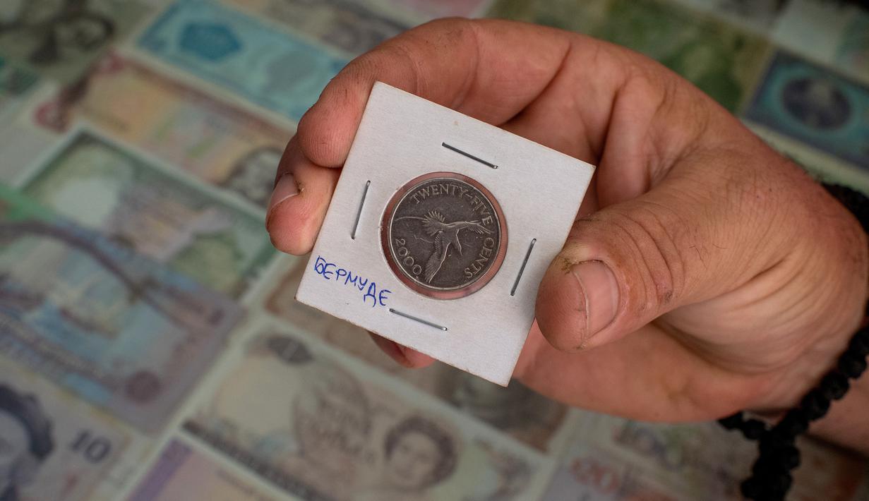 Mata Uang Serbia