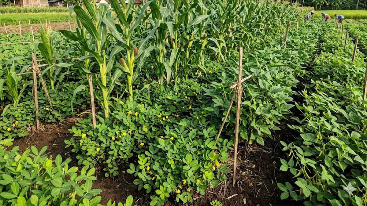 10 Ide Tumpang Sari Buah dan Sayuran yang Menguntungkan Petani Kecil, Lahan Lebih Produktif