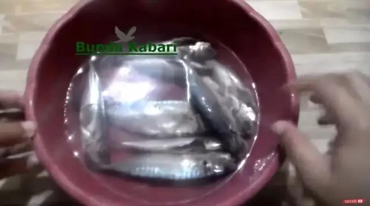 Cara Mudah Menghilangkan Formalin pada Ikan Segar, Ternyata Cukup dengan 1 Bahan Dapur Ini Saja