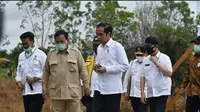 Menteri Pertanian (Mentan) Syahrul Yasin Limpo bersama Presiden Jokowi dan Menteri Kabinet Indonesia Maju saat meninjau pengembangan program food estate di Kalimantan Selatan.