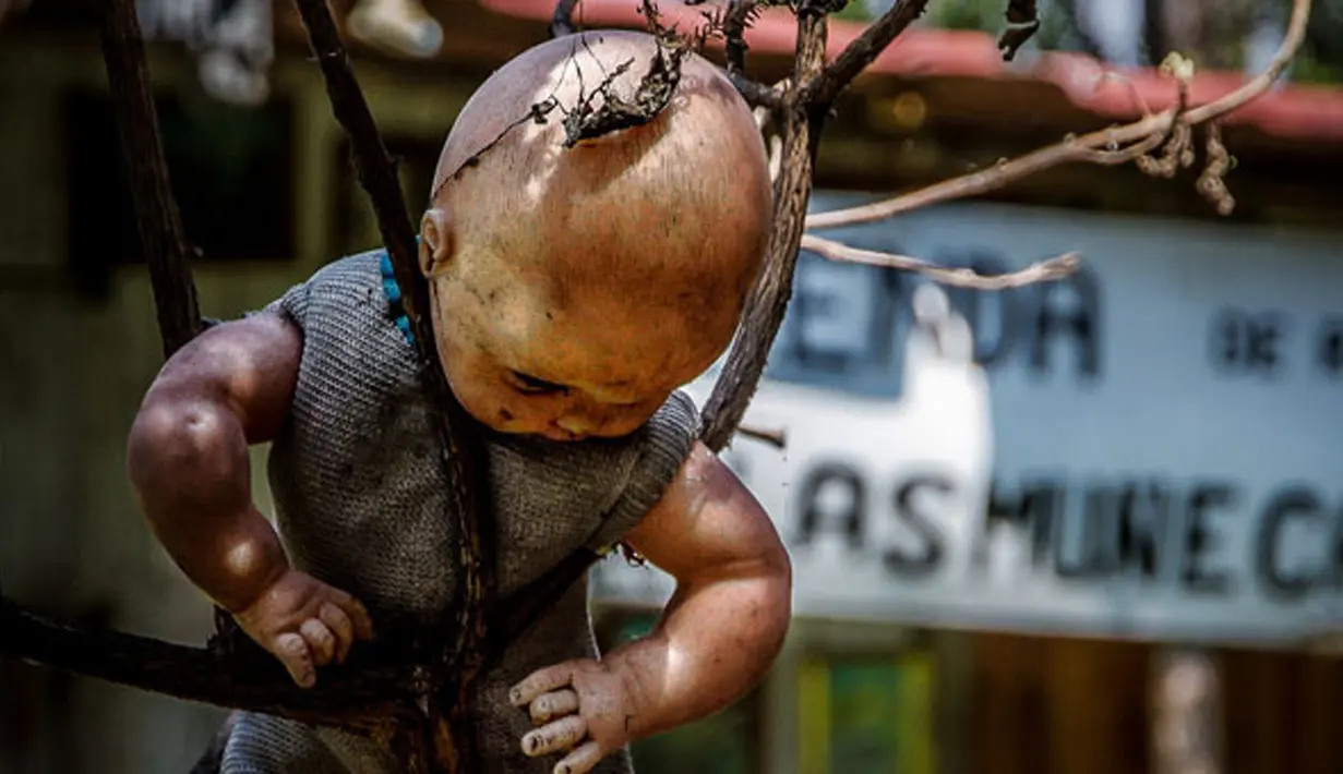 Isla de La Munecas dalam bahasa meksiko berati pulau boneka. Sesuai namanya, di pulau ini banyak boneka-boneka yang sangat menyeramkan dalam kondisi termutilasi digantungkan di pepohonan, Meksiko, Jumat (14/11/2015). (Reuters)