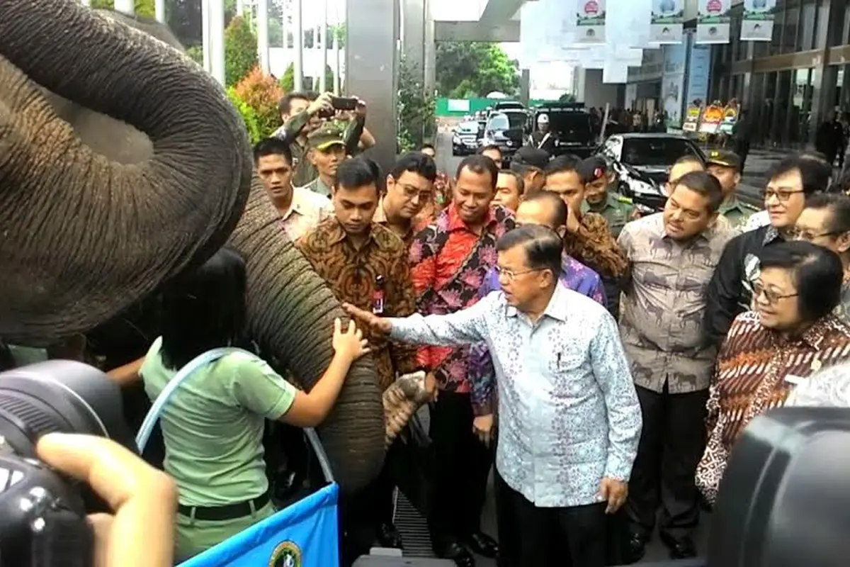 Wapres JK disambut gajah