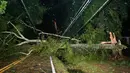 Pohon dan tiang listrik tumbang setelah Badai Hermine bertiup melalui Tallahassee, Florida pada 2 September 2016. Badai Hermine terbentuk di Teluk Meksiko dan menghantam kawasan teluk pantai di Florida dengan topan kategori 1. (REUTERS / Phil Sears)