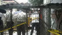 Mengerikan, 100 Anjing Liar Dikubur Hidup-hidup di China