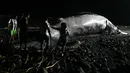 Orang-orang melihat yang ditemukan mati terdampar di pantai Las Flores di La Libertad, El Salvador, Jumat (5/11/2021). Sejauh ini, penyebab kematian paus bungkuk dengan panjang lebih dari 15 meter itu belum diketahui. (Sthanly ESTRADA / AFP)