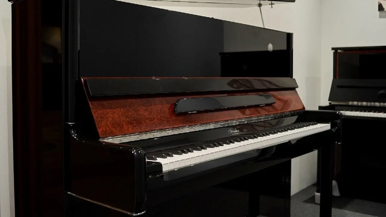Cocok untuk Segala Usia, Begini Mewahnya Piano Irmler Terbaru
