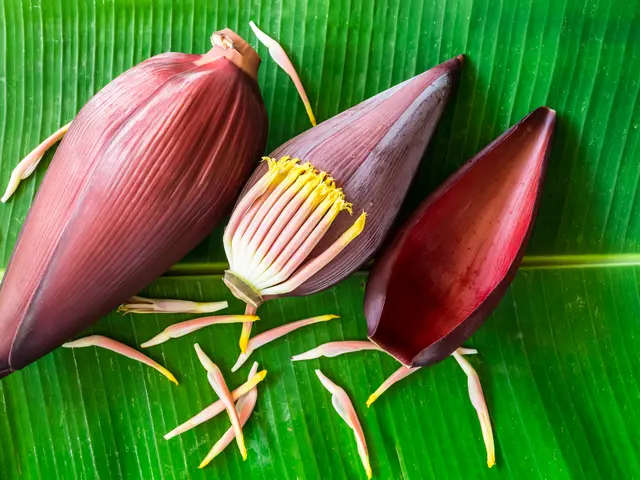 Tips Memasak Jantung Pisang Agar Tidak Pahit Dan Hitam Lifestyle Fimela Com
