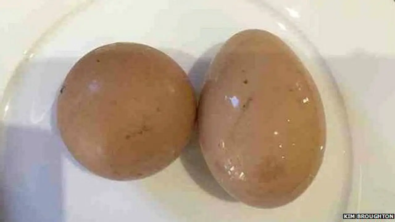 Telur ayam berbentuk bulat terjual Rp10 juta