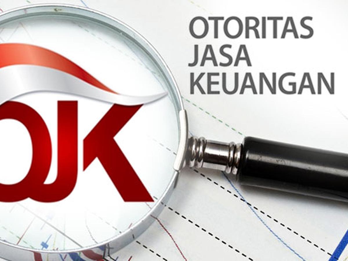OJK Paling Banyak Terima Aduan Fintech di 2021, Soal Apa ...