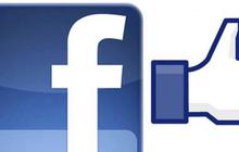 Harga saham Facebook adem ayem usai heboh pembukaan