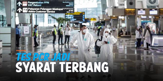 VIDEO: Ingat! Mulai Hari Ini 24 Oktober, Tes PCR Jadi Syarat Terbang