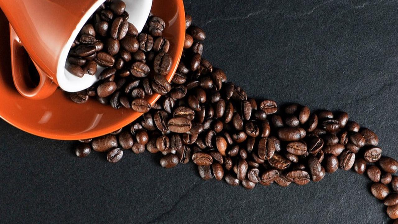 Ilustrasi Biji Kopi