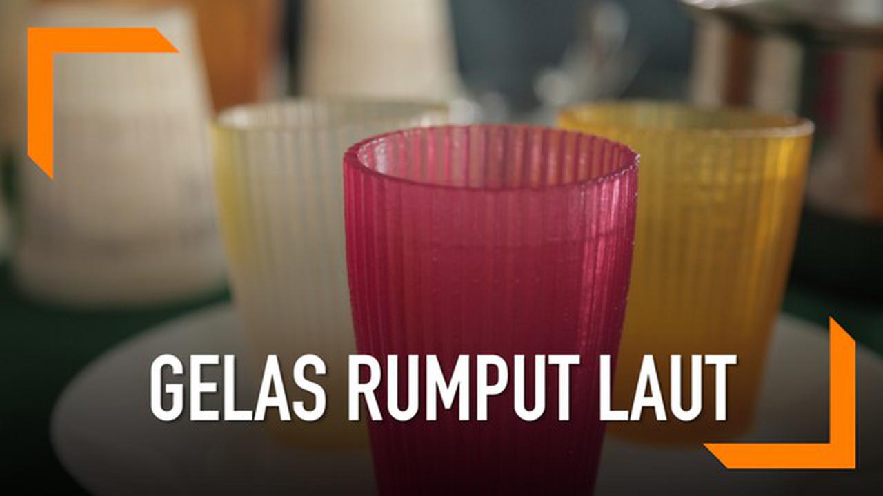 VIDEO: Gelas Rumput Laut, Kurangi Sampah Plastik