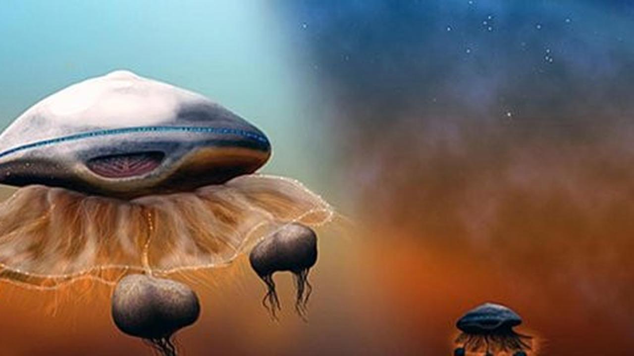 Air di Mars adalah tanda adanya kehidupan
