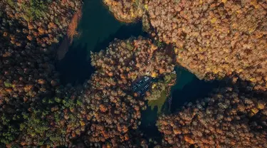 Foto udara ini menunjukkan pemandangan dari Taman Nasional Yedigoller di distrik Bolu, pada 9 November 2021. Turki merupakan sebuah negara dengan tujuan wisata yang populer di musim gugur, diantaranya adalah Taman Nasional Yedigöller. (Ozan KOSE / AFP)