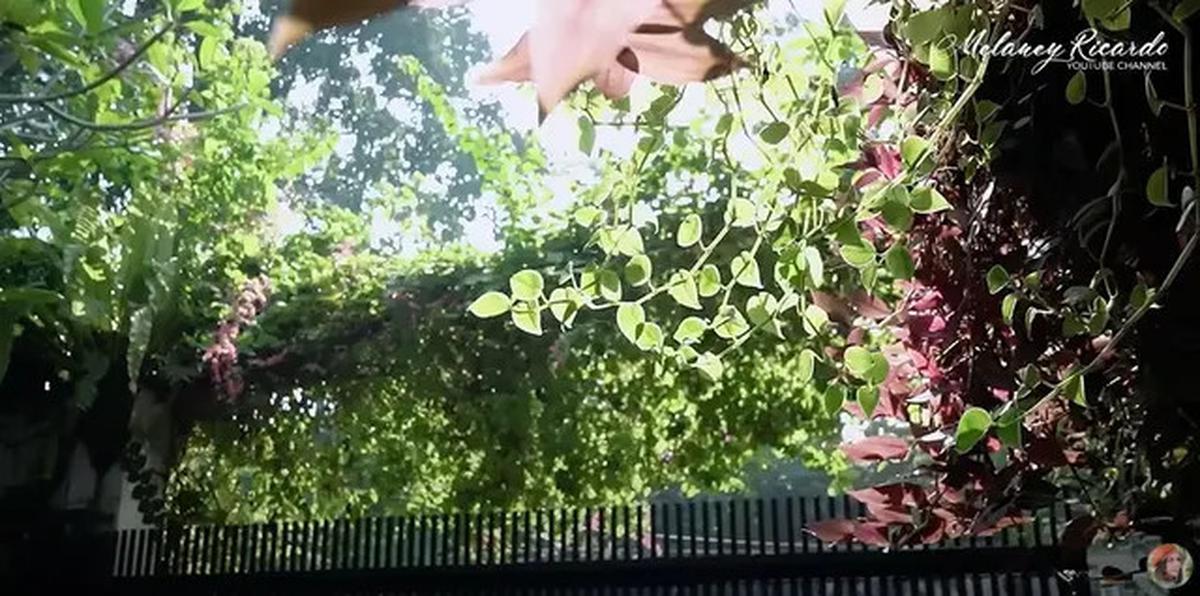 9 Potret Teras dan Taman di Rumah Yuni Shara, Nuansa Tropis yang Asri dan Estetik