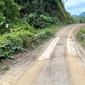 Kementerian PUPR membangun 29 jembatan di ruas Merauke-Sorong Kabupaten Teluk Wondama, Papua Barat. (Dok Kementerian PUPR)