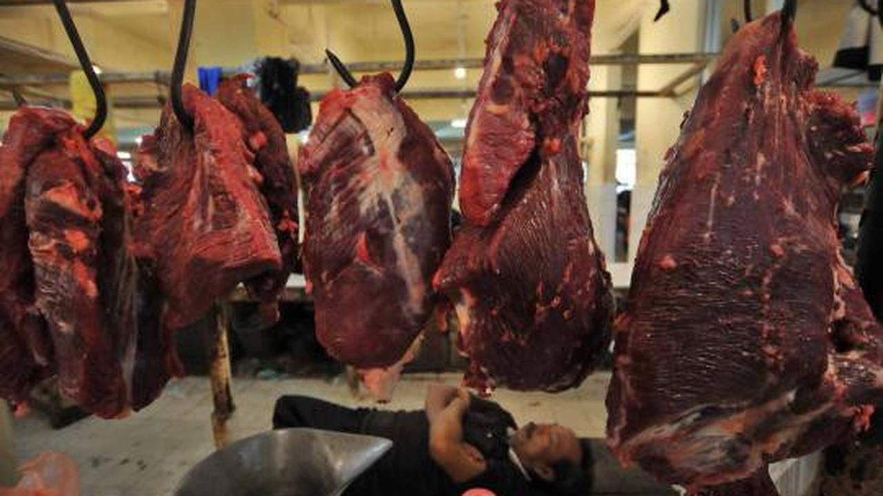 Harga daging sapi masih normal 
