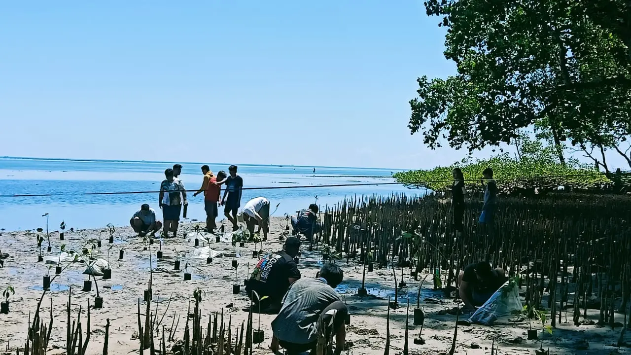 Memperingati Hari Ligkungan Hidup Sedunia dan memaknai 8 tahun Ensiklik Laudato Si, Sabtu (3/6/2023), Komunitas OMK Pencinta Alam menanam ratusan mangrove di Pantai Mokupa, Kabupaten Minahasa, Sulut.