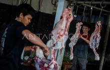 Tarif Potong Hewan Kurban RPH Bayur Tangerang Tetap Rp60 Ribu, Fasilitas Modern Siap Layani Warga