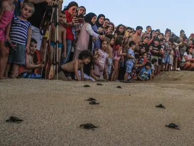 Sejumlah pengunjung melihat pelepasan tukik di pantai al-Mansouri dekat kota Tyre, Lebanon selatan (31/7/2019). Pelepasan ratusan anak penyu ini bagian pelestarian hewan yang terancam punah. (AFP Photo/Mahmoud Zayyat)