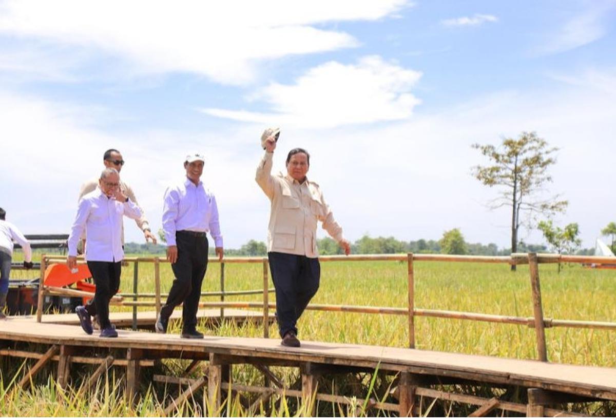 HPP Gabah Naik Rp6.500, Keberpihakan Presiden Prabowo Subianto untuk Petani Indonesia?