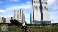 Petani menyiram sayuran bayam saat memanfaatkan lahan pertanian di Jakarta, Selasa (23/12). Suku Dinas Pertanian dan Kehutanan Jakarta Utara mencatat 90 persen dari 528 hektare lahan pertanian dimiliki oleh perusahaan pengembang. (Liputan6.com/JohanTallo)
