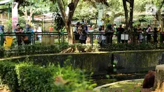 Pengunjung berlipat di setiap akhir pekan atau hari libur nasional.