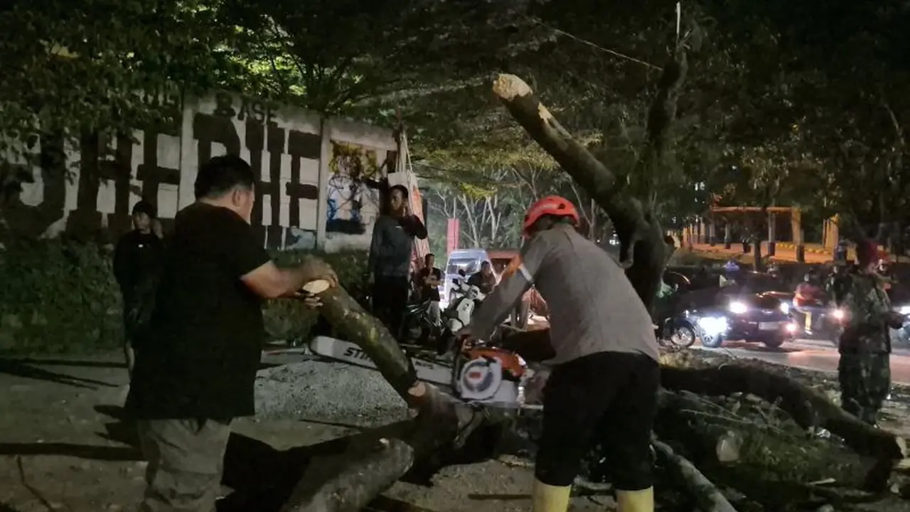 Pohon Tumbang Timpa 5 Pemotor Depan Kampus Unpad Jatinangor