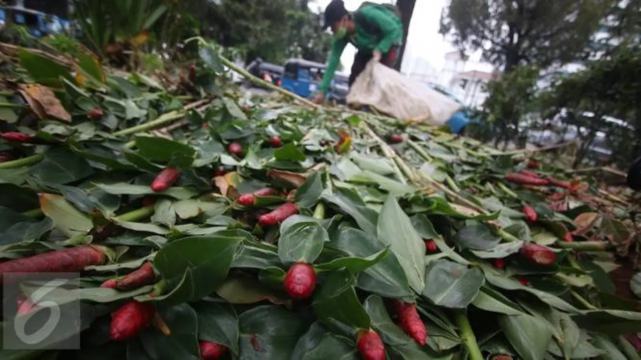 Taman Rusak Setelah Demo, Ini Kata Ahok
