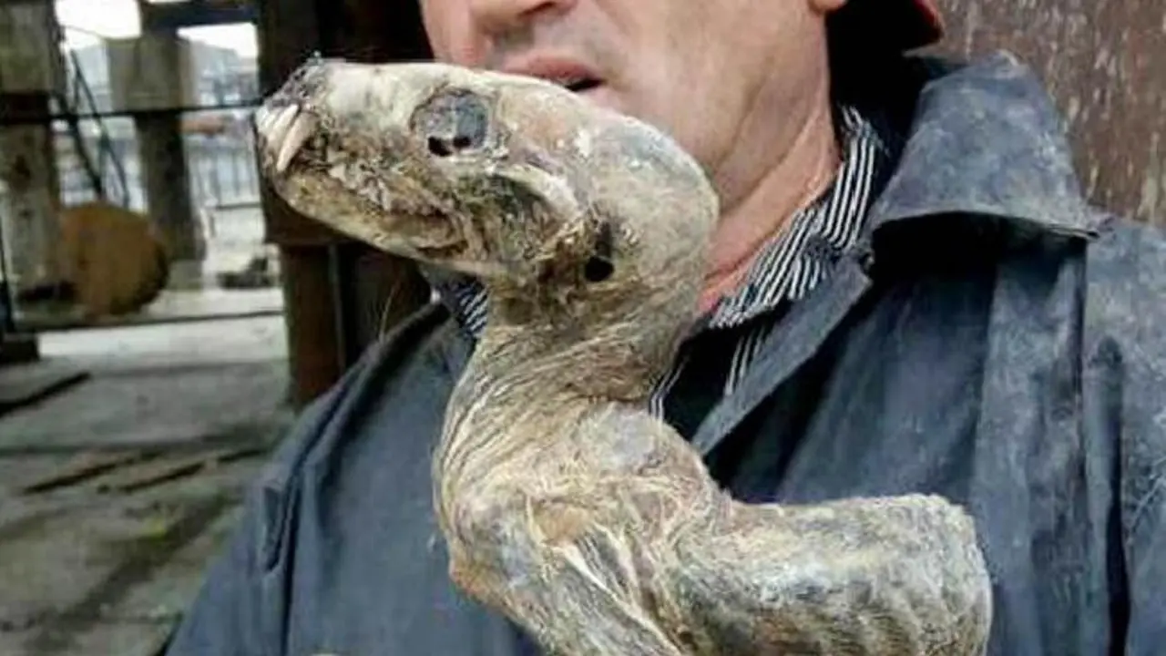 'Mumi' Hewan Mengerikan di Tambang Berlian, Dinosaurus?