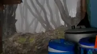 Viral warung makan di Tangkuban Perahu berpemandangan ala hutan terlarang di serial film Harry Potter. (dok. tangkapan layar TikTok @rizkvtaaaaa/https://www.tiktok.com/@rizkvtaaaaa/video/7373282957617941766)