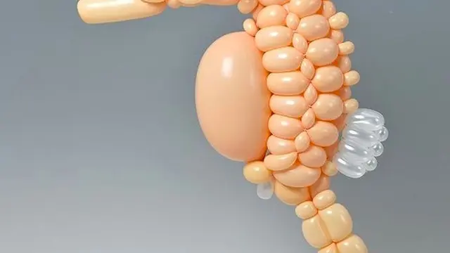 karya seni dari balon