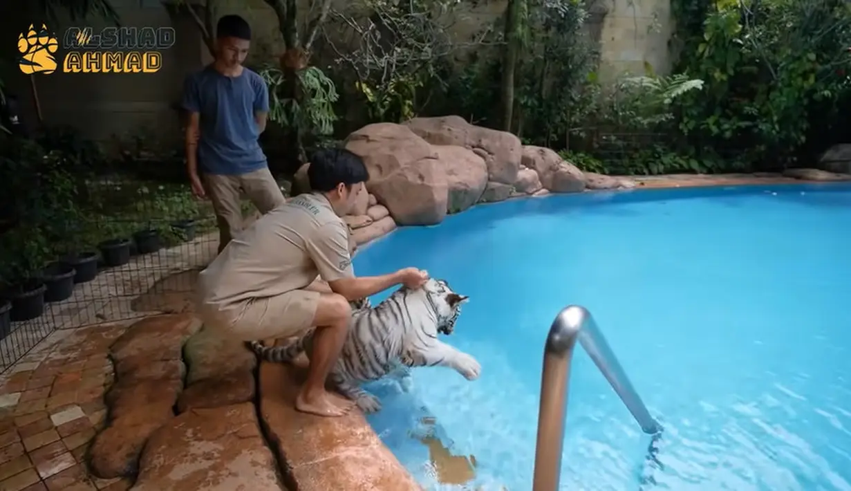 Alshad Ahmad (Youtube/Alshad Ahmad)