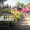 Antrean Panjang Beli Elpiji