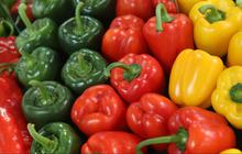 Mengenal Perbedaan Paprika Merah, Kuning, dan Hijau, Mulai dari Rasa hingga Kandungan Nutrisi