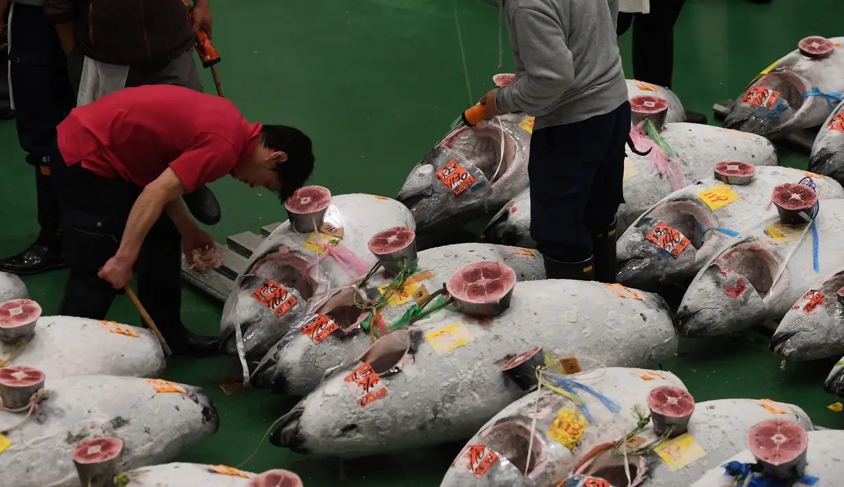 Aktivitas pelelangan ikan tuna pertama di pasar ikan Toyosu yang baru, pada hari pertama pembukaan di Tokyo, Kamis (11/9). Pasar ikan Toyosu menggantikan pasar ikan legendaris yang sudah mendunia, Pasar Tsukiji. (Toshifumi KITAMURA/AFP)