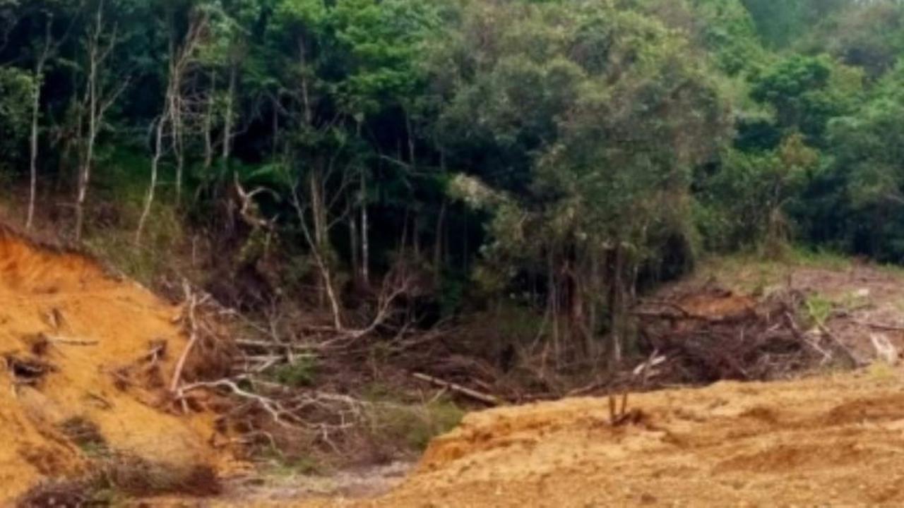 Tersangka Penangguhan Penahanan Perambah Hutan Gowa Ajukan Permohonan Karena Sakit