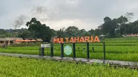 Agroeduwisata Organik Mulyaharja, Bogor, Jawa Barat (dok.Kifin Ramadhan)