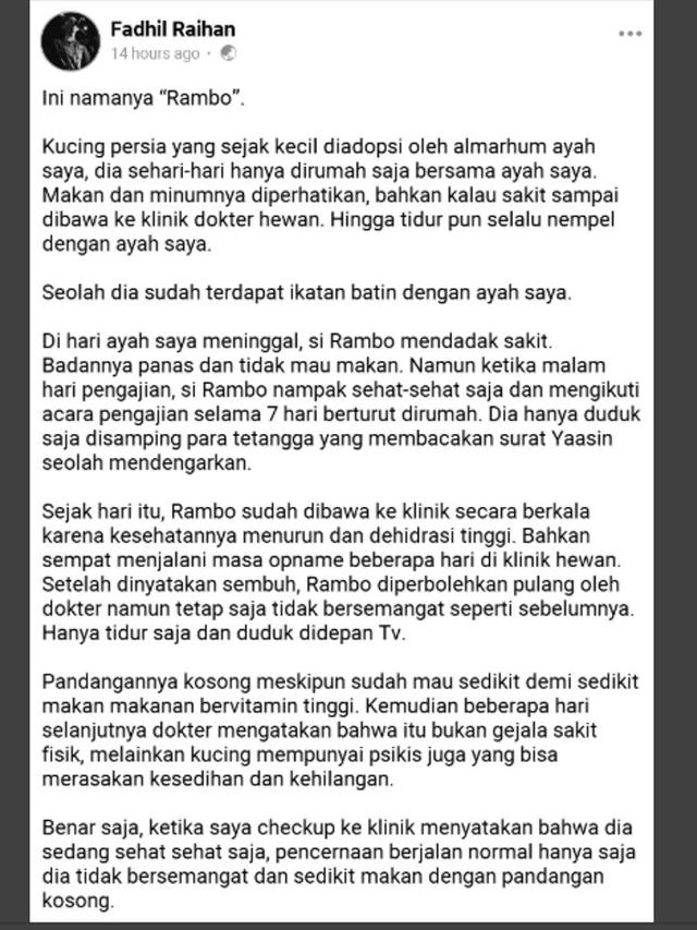 Haru, Kisah Kucing yang Bersedih Usai Pemiliknya Wafat