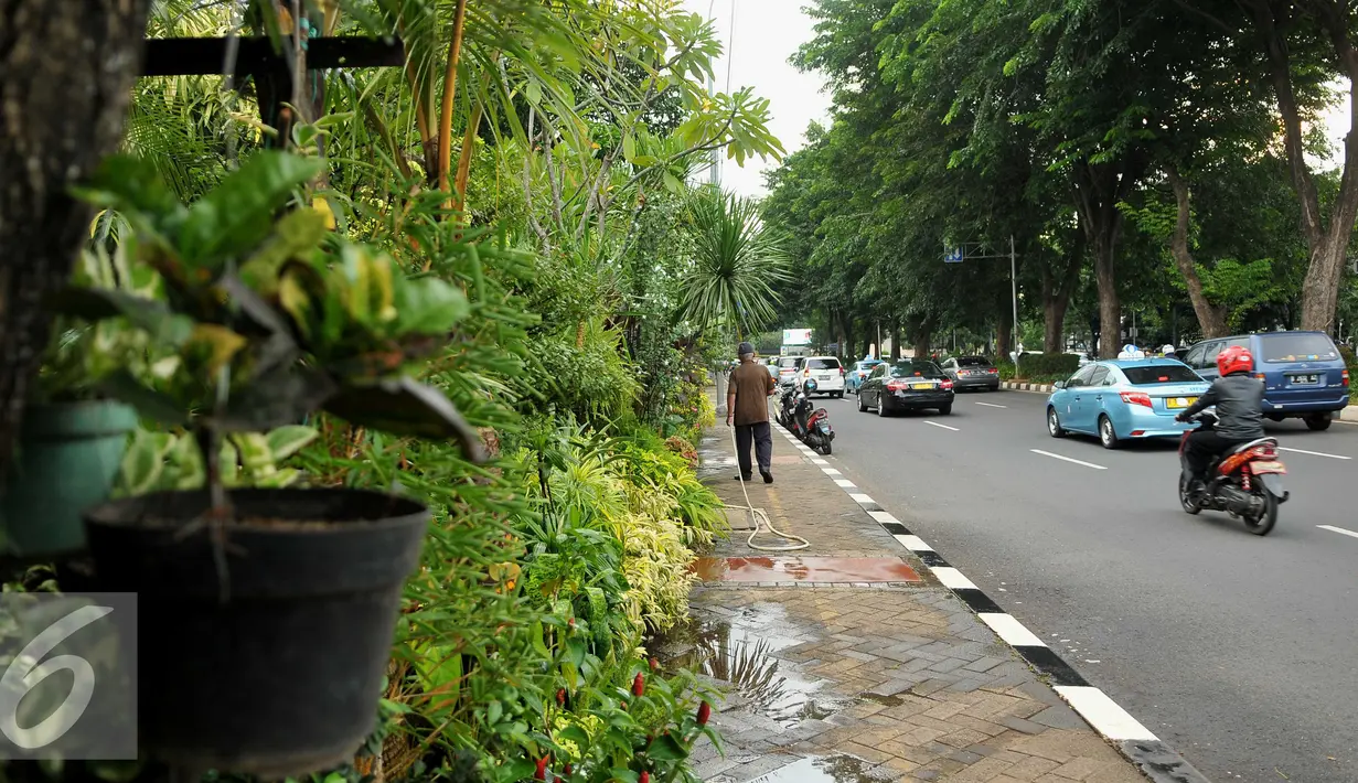 Deretan tanaman hias di sepanjang trotoar Jalan Gerbang Pemuda, kawasan Gelora Bung Karno, Jakarta, Senin (2/5). Jelang Asian Games 2018, Pemkot Administrasi Jakpus akan merelokasi pedagang tanaman hias ke dalam kawasan GBK. (Liputan6.com/Gempur M Surya)