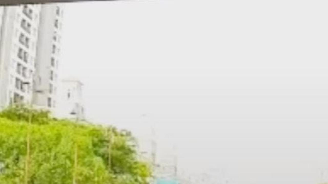 Viral Aksi Pemotor Pria Kabur Tinggalkan Kekasihnya saat Hendak Ditilang, Bikin Warganet Heran