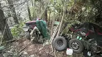 Bertahun-tahun Sembunyi di Hutan, Buronan Selandia Baru Tertangkap Lalu Ditembak Mati Polisi