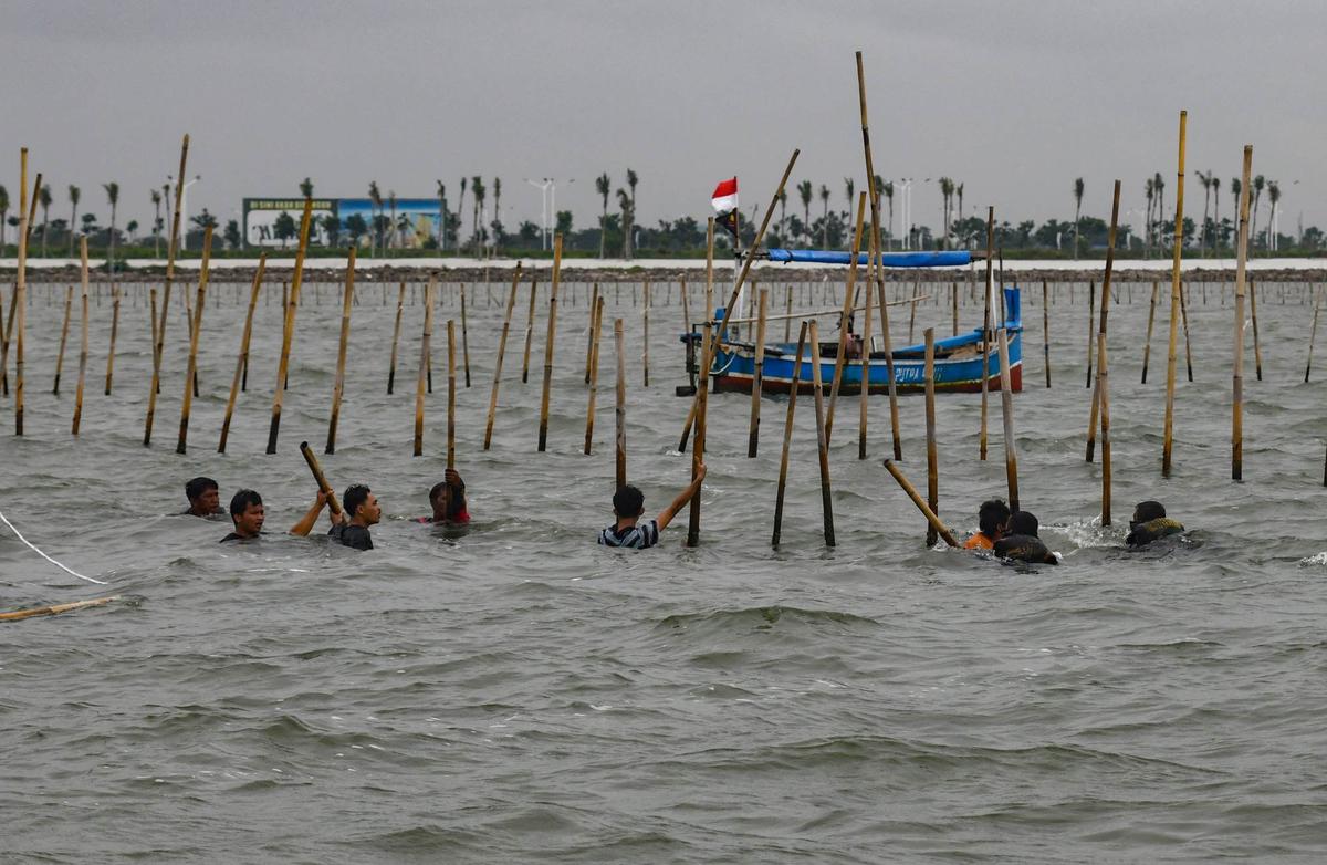 Aksi Ribuan Pasukan TNI AL dan Nelayan Bersatu Bongkar Pagar Laut Misterius di Tangerang