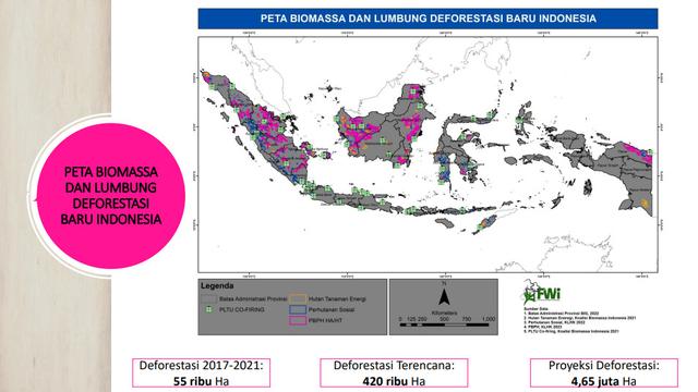 Peta biomassa dan lumbung deforestasi