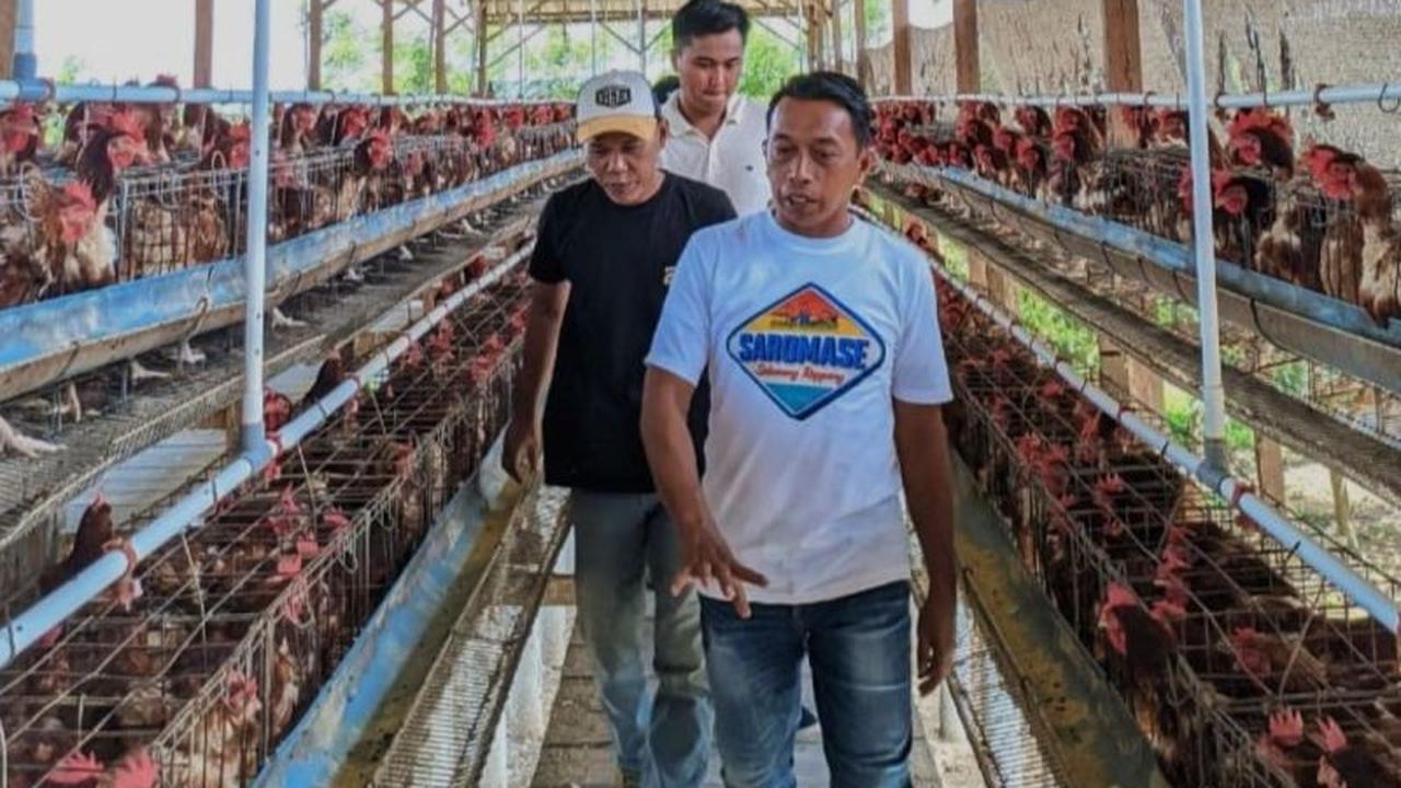 Tahukah Anda? Sidrap, Lumbung Pangan Nasional, Kini Arahkan Petani dan Peternak Gunakan QRIS