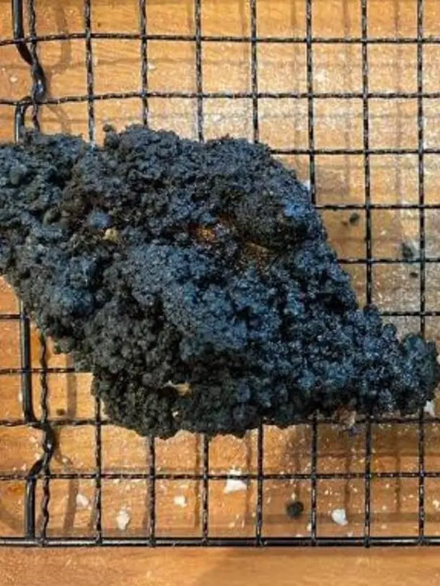 7 Potret Gagal Masak Ayam Ini Bikin Selera Makan Hilang, Ada yang Jadi Abu