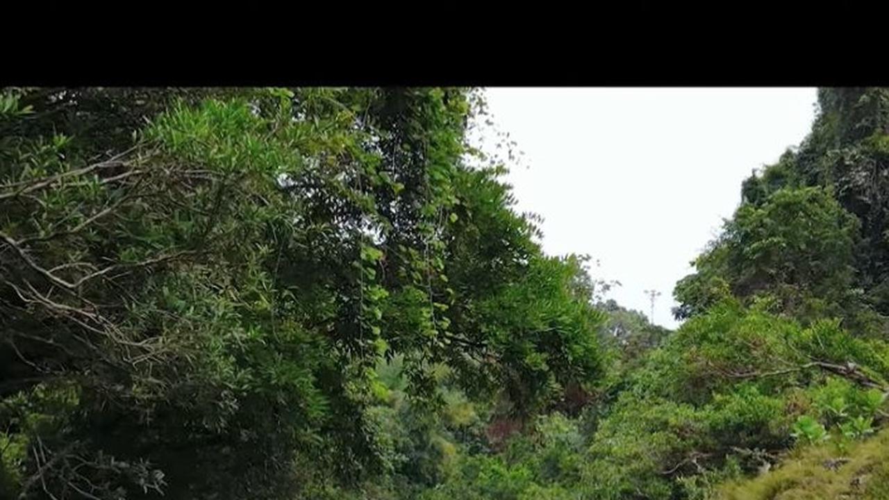 Mengenal Curug Panetean di Tasikmalaya, Air Terjun Indah di Sungai yang Mirip Kolam Renang Alami